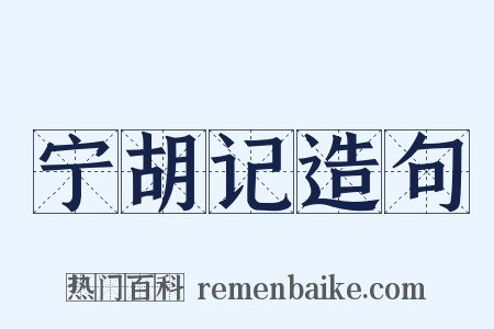 宁胡记造句是什么意思的图片